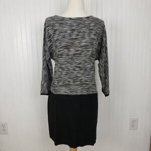 Ann Taylor Loft Space Dyed Mini Dress Size 10